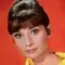 Audrey Hepburn